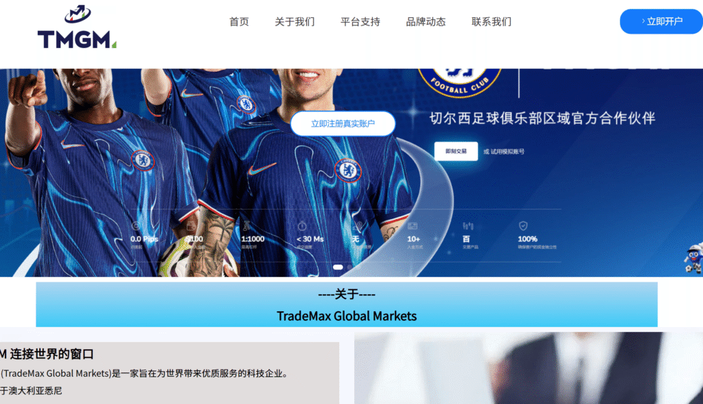 TMGM（TradeMax Global Markets）を騙る勧誘tmgmaa.com